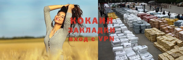 ГАЛЛЮЦИНОГЕННЫЕ ГРИБЫ Кинешма