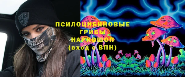 ГАЛЛЮЦИНОГЕННЫЕ ГРИБЫ Кинешма