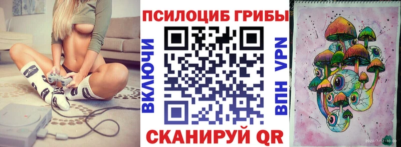 Купить закладки  Череповец  Галлюциногенные грибы MAGIC MUSHROOMS 